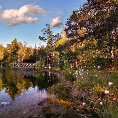 Hotel Krizovy Vrch Есеник Экстерьер фото