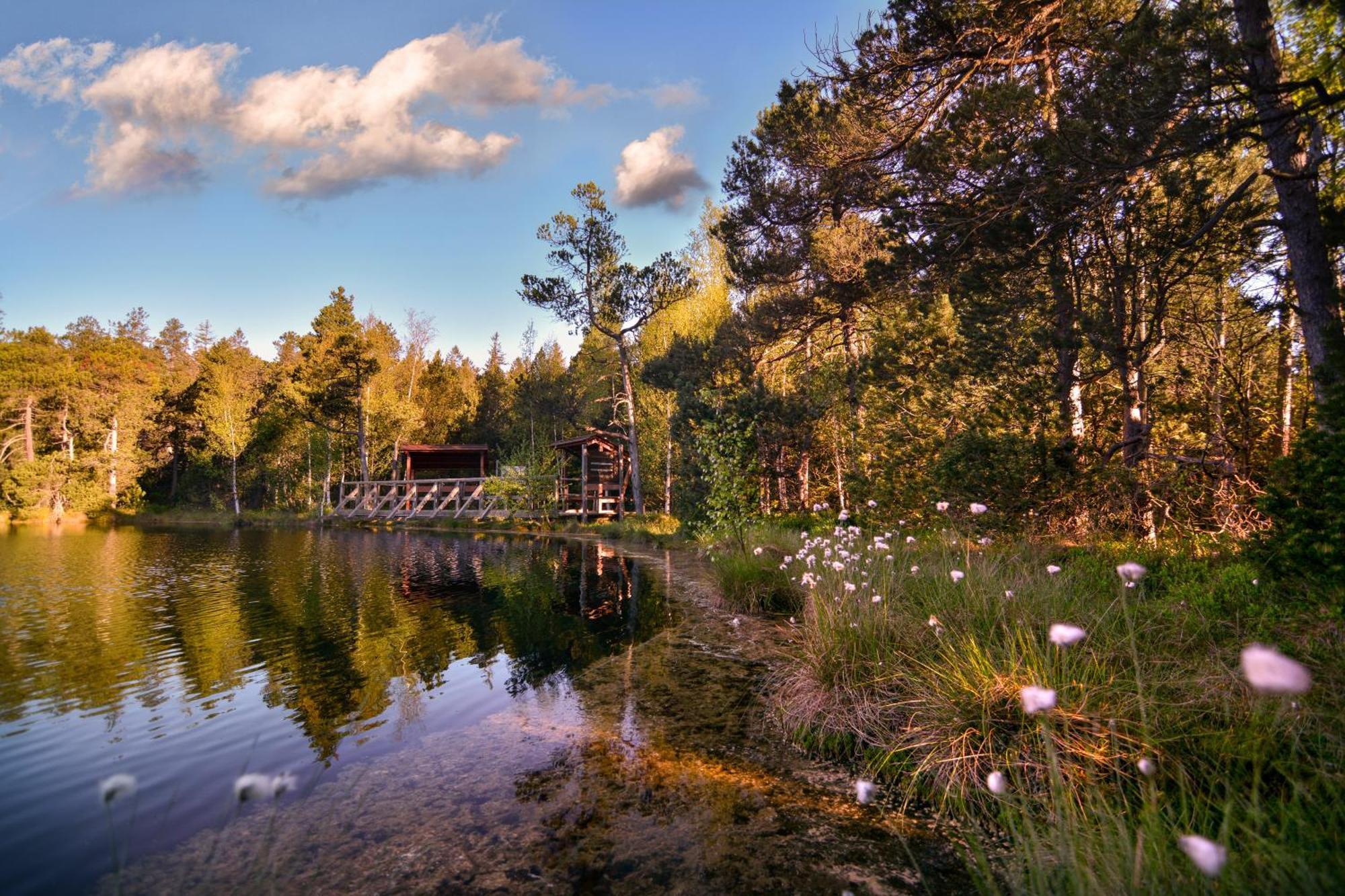 Hotel Krizovy Vrch Есеник Экстерьер фото